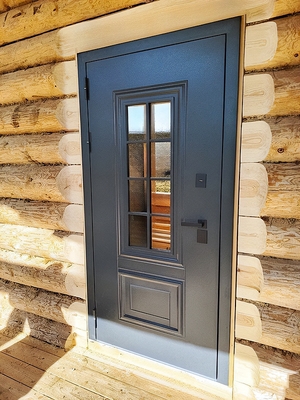 Остекленная входная дверь Остекленная входная дверь